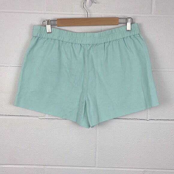 J.Crew pull on light turquoise short - Picture 4 of 5
